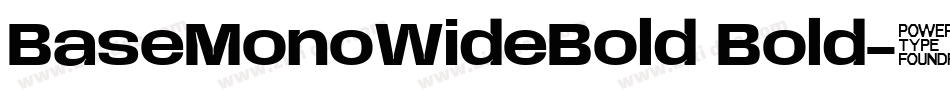 BaseMonoWideBold Bold字体转换